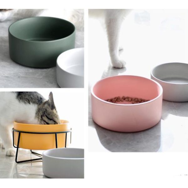 Low Ceramic Succulent Planter & Pet Bowl