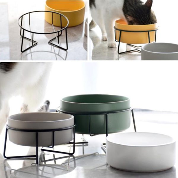Low Ceramic Succulent Planter & Pet Bowl