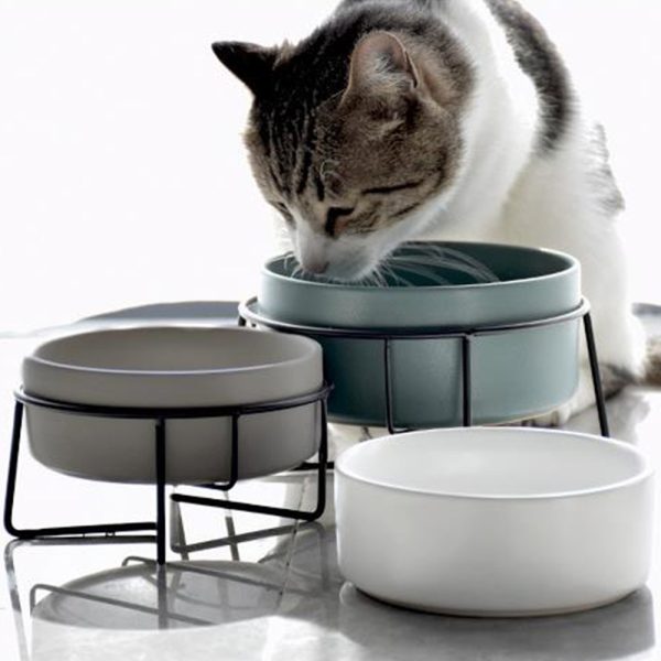 Low Ceramic Succulent Planter & Pet Bowl