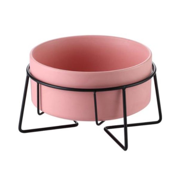 Low Ceramic Succulent Planter & Pet Bowl