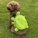 Turtle Pet Backpack Harness