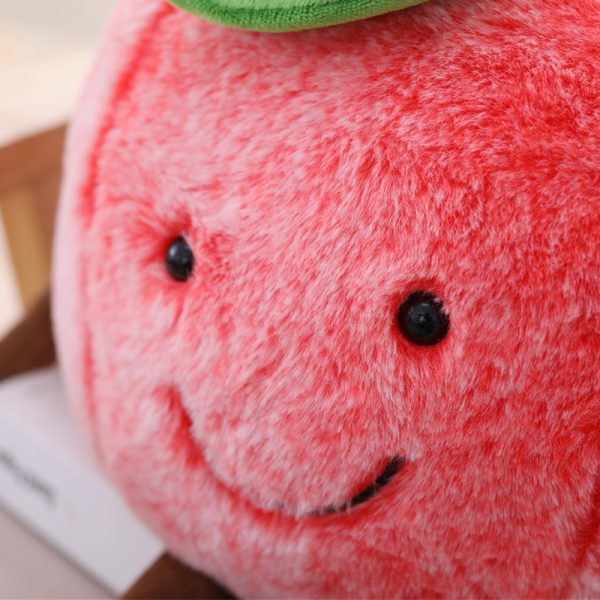Watermelon Cherry Pillow