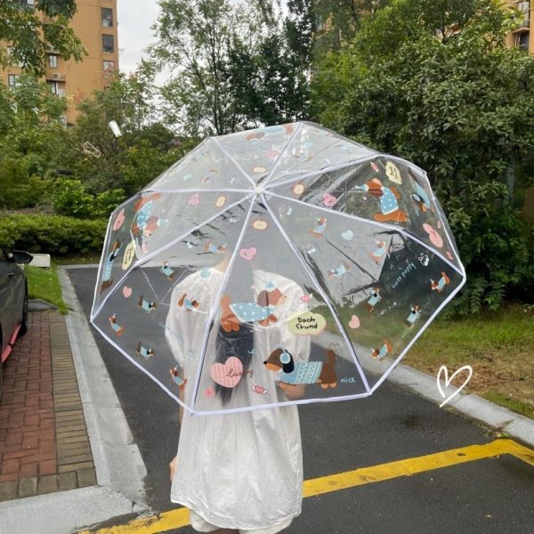 Cartoon Transparent Umbrella