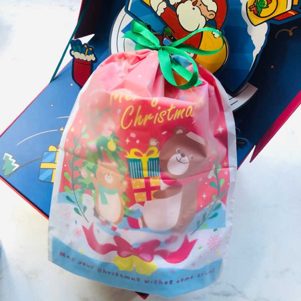 Christmas Drawstring Gift Bags β Bear Design, Set of 5