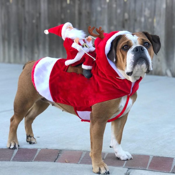 Christmas Dog Jumper – Santa Riding Reindeer Knit