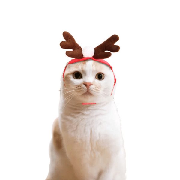 Christmas Pet Costume Accessories – Cape, Hat & Scarf
