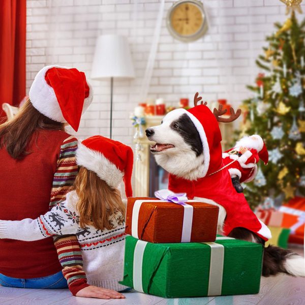 Christmas Dog Jumper – Santa Riding Reindeer Knit